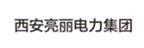 西安亮丽电力集团